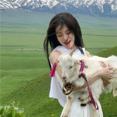 人生剧场 在线观看